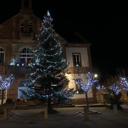 Alsace Randonnee Ou Ski Bel Appartement Grendelbruch エクステリア 写真